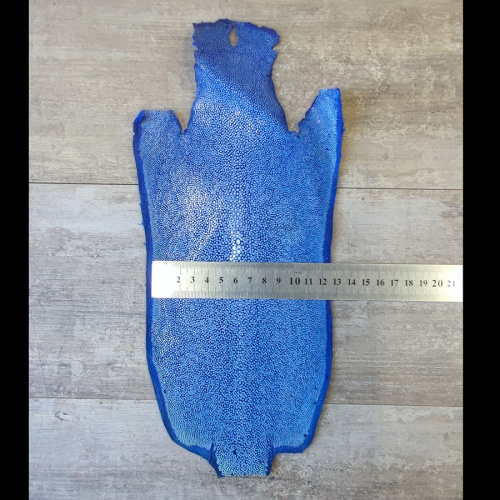 Кожа ската натуральная 10х30 см шлифованная фото 12