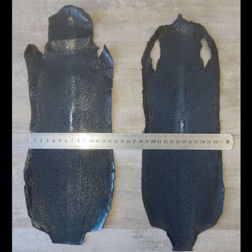 Кожа ската натуральная 10х30 см шлифованная фото 21