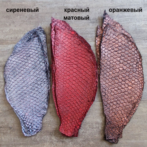 Кожа рыбы Карп Перламутр фото 7 Кожа рыбы Карп Перламутр фото 7