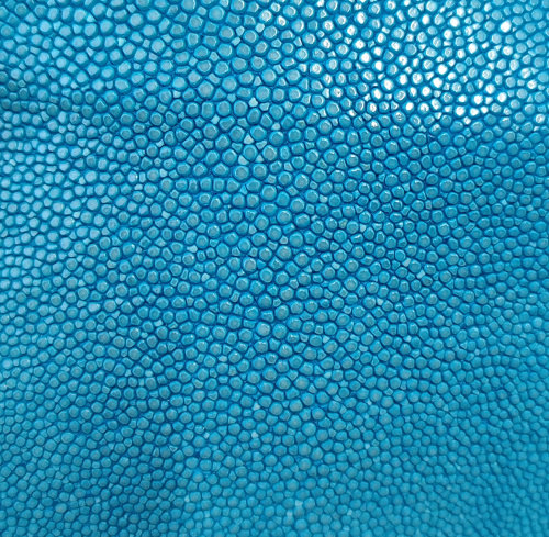 Кожа ската натуральная 10х30 см шлифованная фото 17