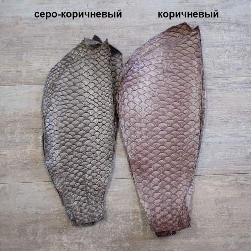 Кожа рыбы 0,7 мм Карп глянец фото 5