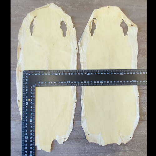 Кожа ската натуральная фактурная фото 5