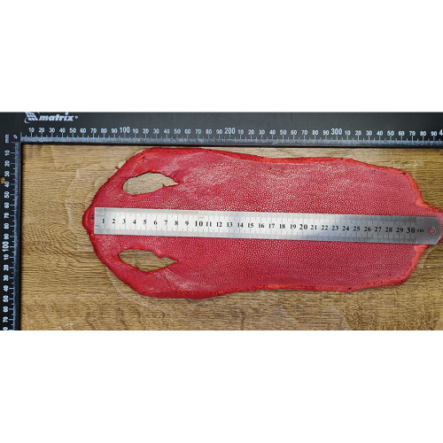 Кожа ската натуральная 10х30 см шлифованная фото 7