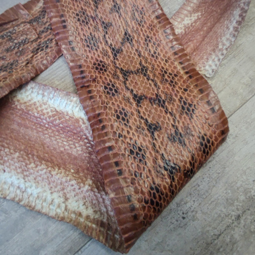 Кожа змей Разные цвета фото 21