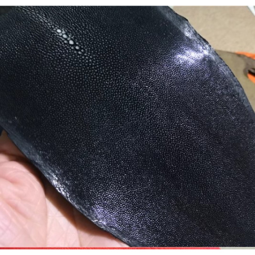 Кожа ската натуральная 10х30 см шлифованная фото 4