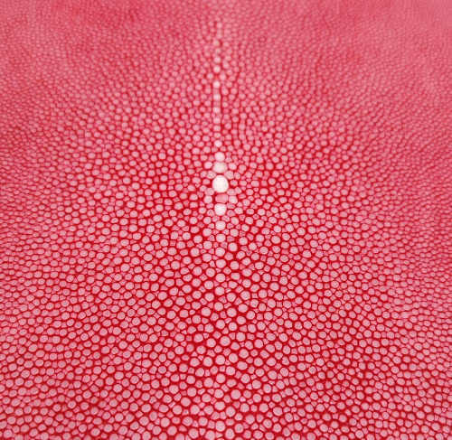 Кожа ската натуральная 10х30 см шлифованная фото 20