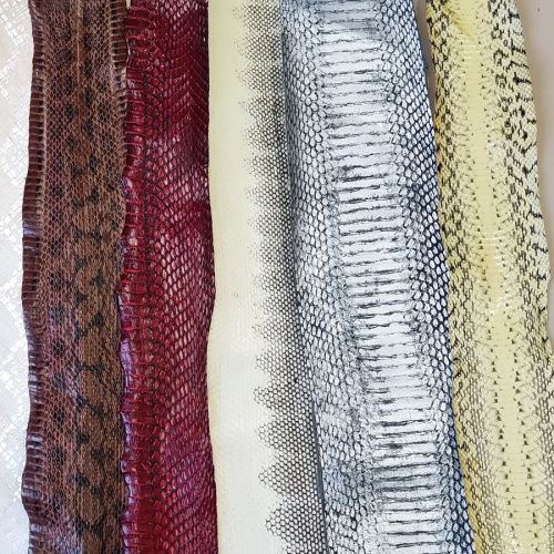 Кожа змей Разные цвета фото 3