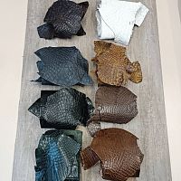 Кожа Пола Крокодила 1,3-1,6 мм