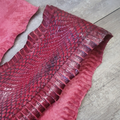 Кожа змей Разные цвета фото 17