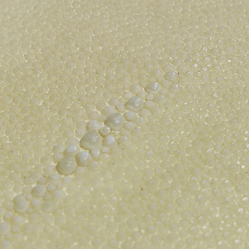 Кожа ската натуральная фактурная фото 3