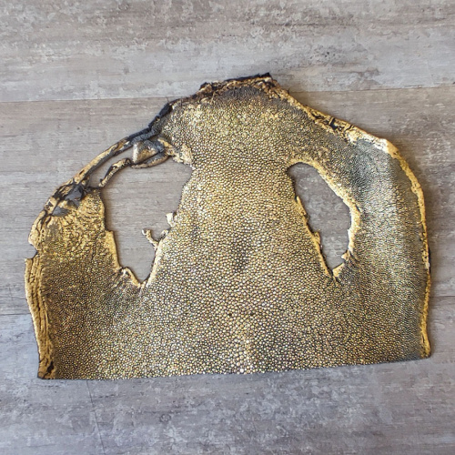 Кожа ската натуральная верхняя часть фото 7