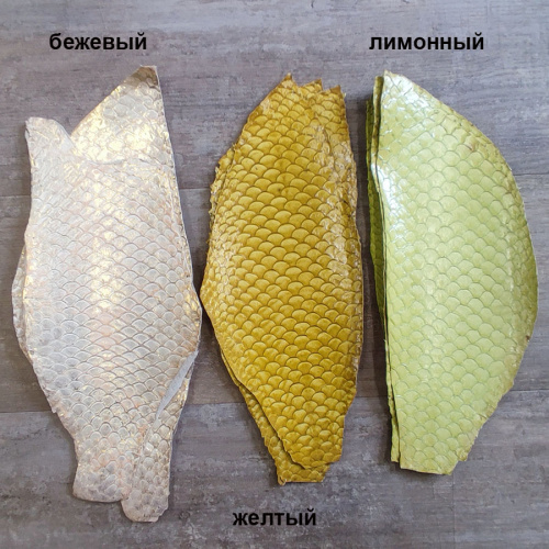 Кожа рыбы 0,7 мм Карп глянец фото 11