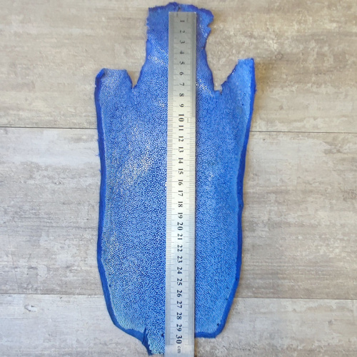 Кожа ската натуральная 10х30 см шлифованная фото 13