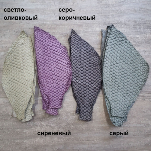 Кожа рыбы 0,7 мм Карп матовый 8*20 см фото 4 Кожа рыбы 0,7 мм Карп матовый 8*20 см фото 4