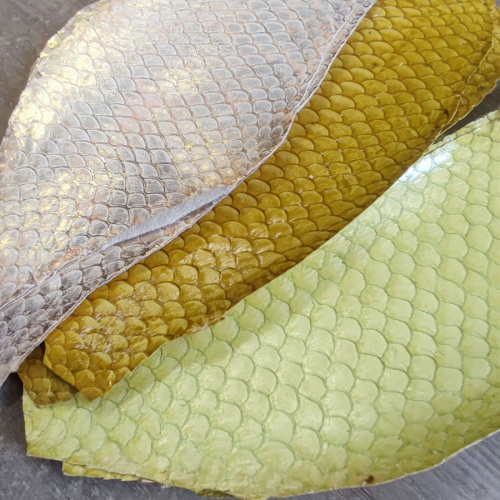 Кожа рыбы 0,7 мм Карп глянец фото 6