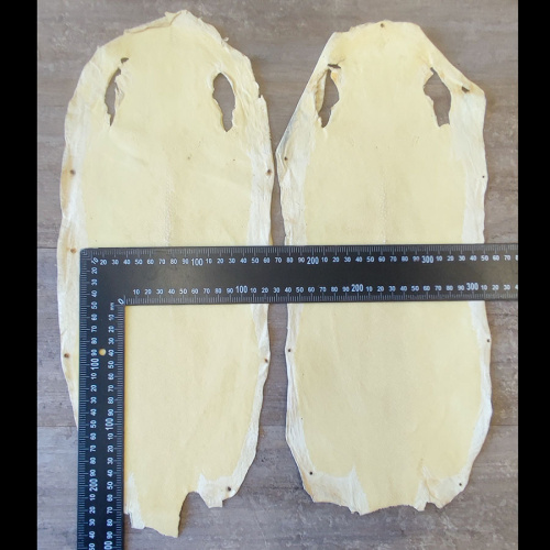 Кожа ската натуральная фактурная фото 24